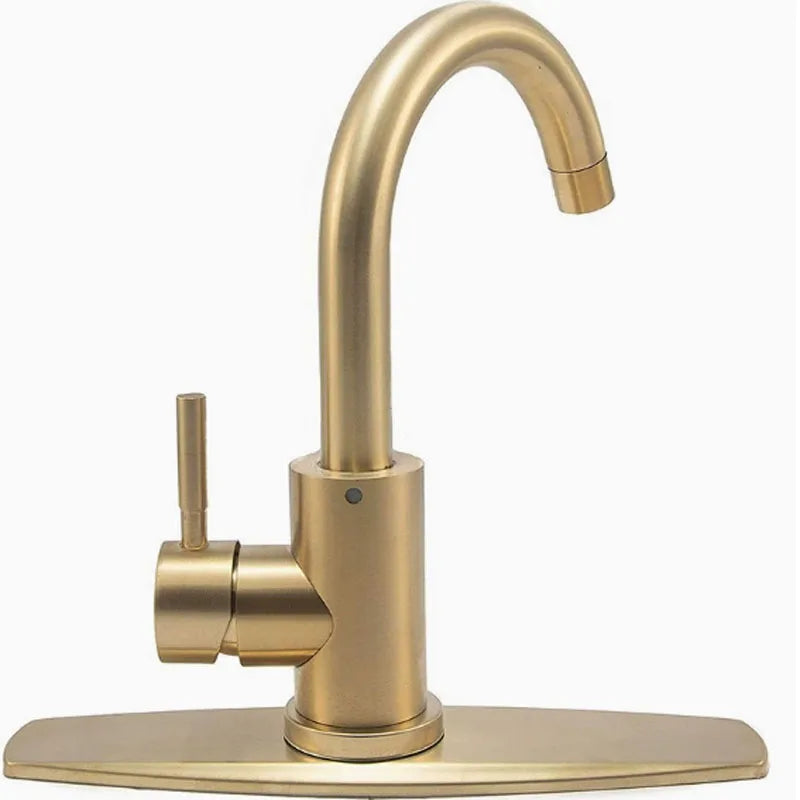 The Dragon Basin Faucet